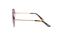 sunglasses, shades, eyewear, fashion, accessories, premium, limited edition